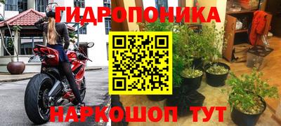 СК Гусев