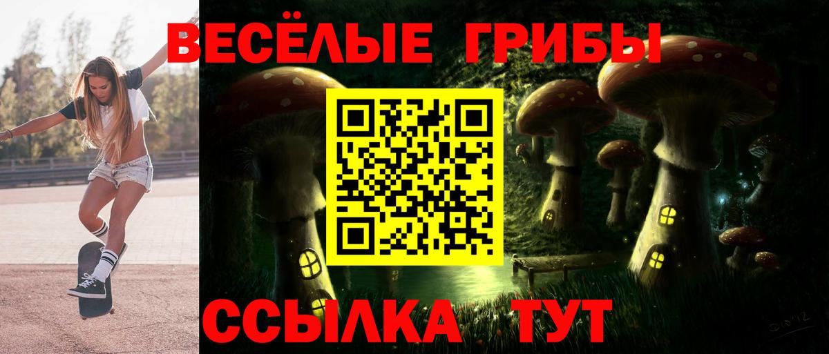 Галлюциногенные грибы мухоморы Минусинск